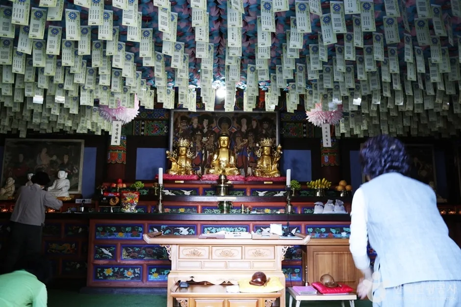 마하사 (13)