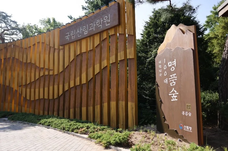 홍릉숲 (3)