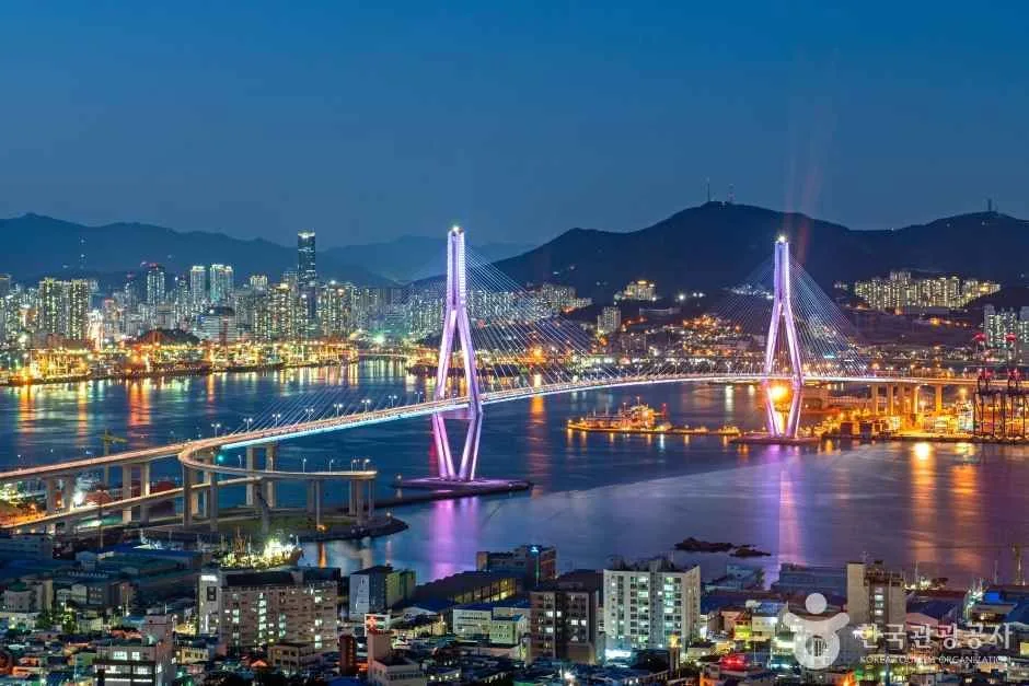 청학배수지전망대