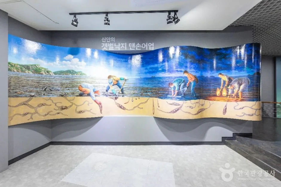 신안_신안갯벌박물관 (5)