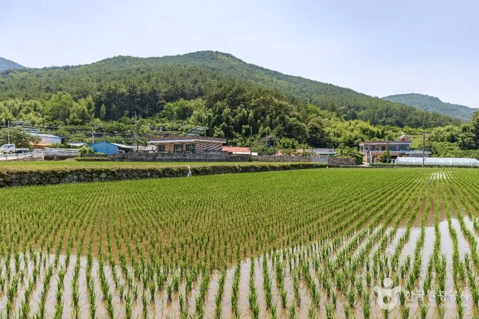 사천_사천 바리안마을 (7)