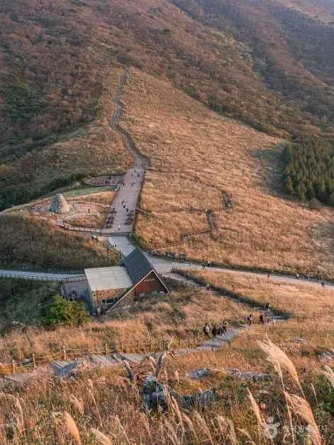 울산 간월재 정상 최단등산코스 무료 주차장 주변 가볼만한곳_간월재_1-16