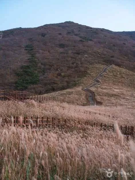 울산 간월재 정상 최단등산코스 무료 주차장 주변 가볼만한곳_간월재_1-10