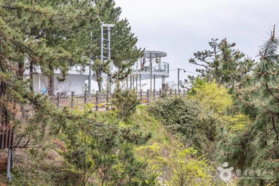 부산_75광장 (8)