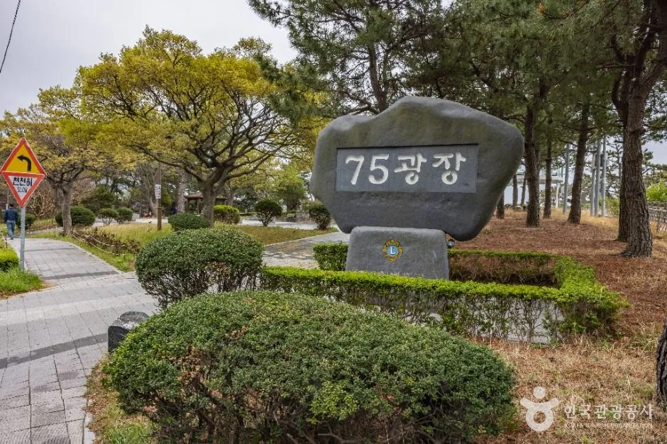 부산_75광장 (9)