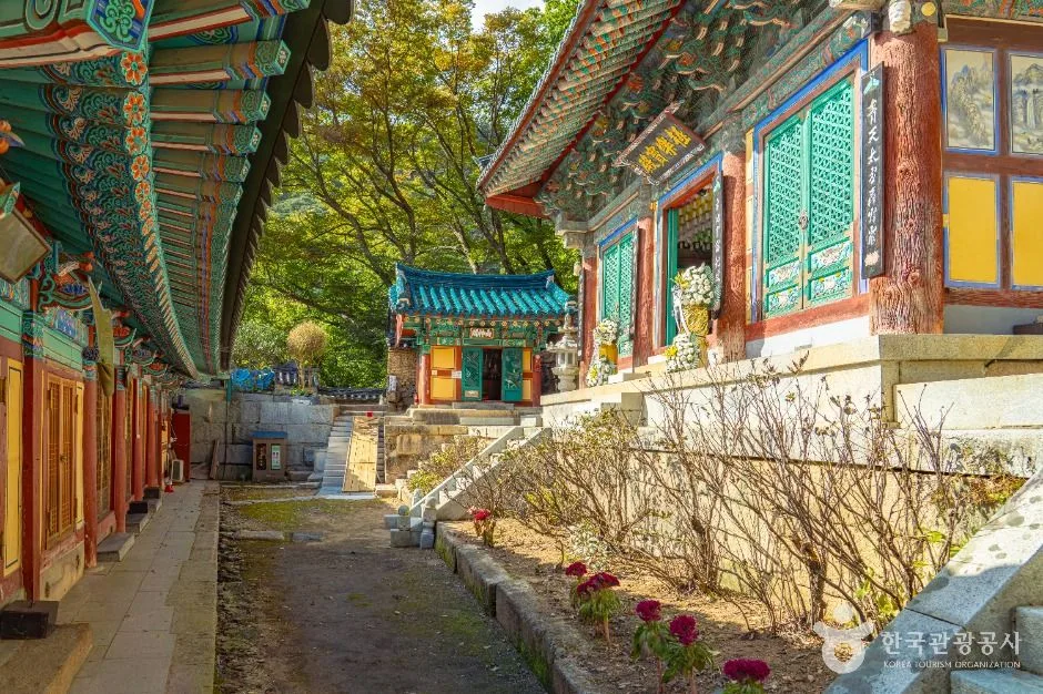 보은_복천암(보은) (6)