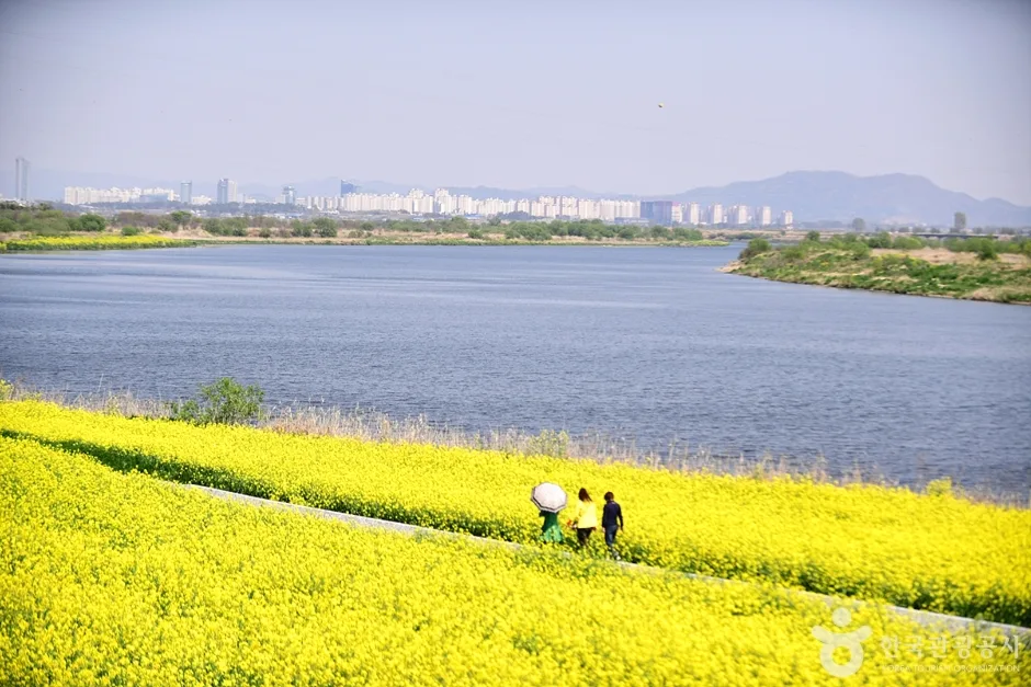 전남_나주_영산강둔치체육공원_외부_3.jpg