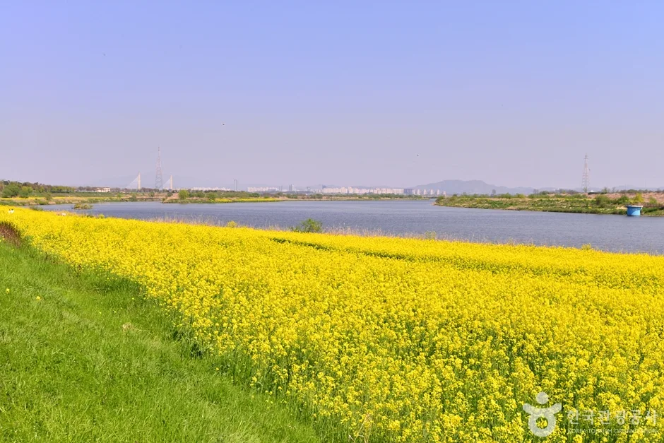 전남_나주_영산강둔치체육공원 (1)