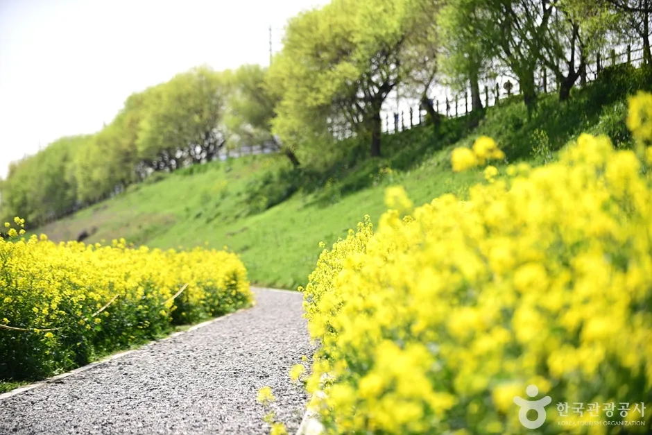 전남_나주_영산강둔치체육공원_외부_4.jpg