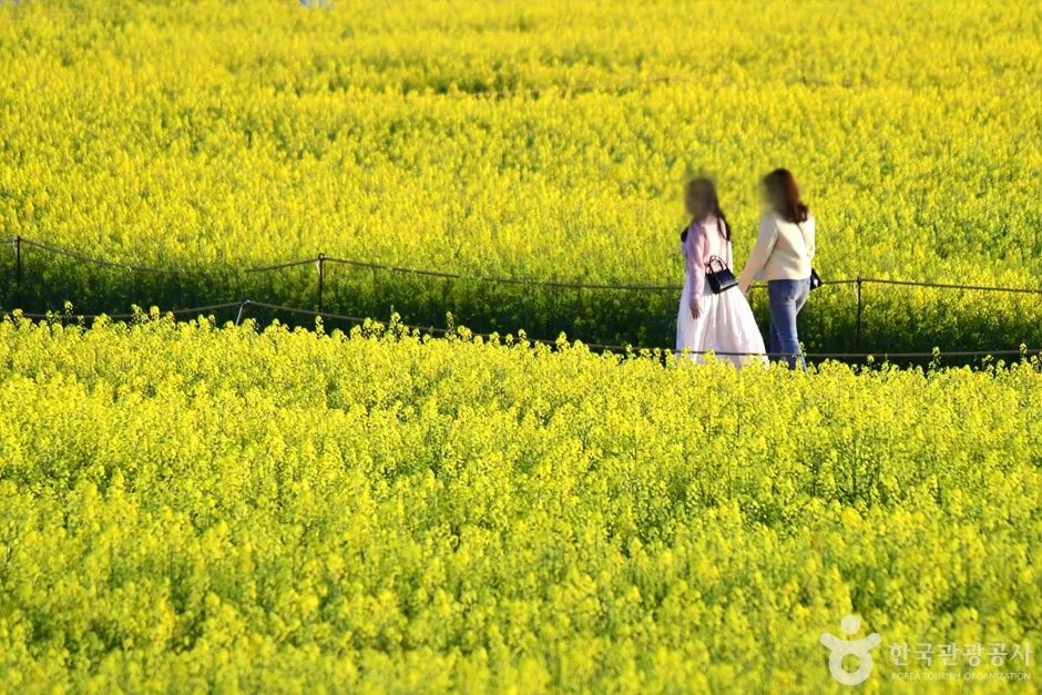 전남_나주_영산강둔치체육공원_외부_1.jpg
