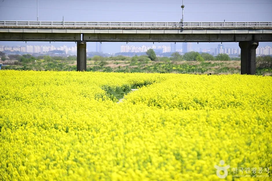 전남_나주_영산강둔치체육공원_외부_2.jpg