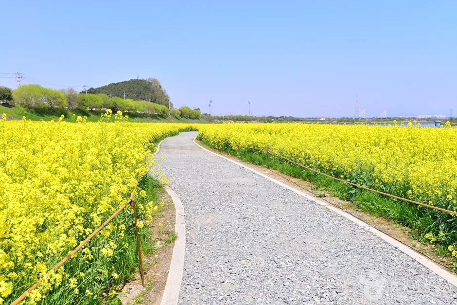 전남_나주_영산강둔치체육공원 (10)
