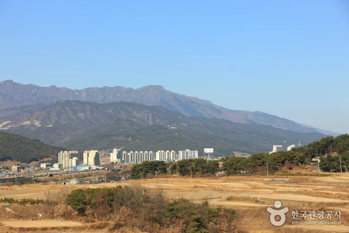 양산_영축산 (2).jpg