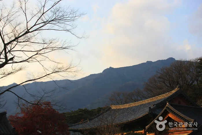 양산_영축산 (1)