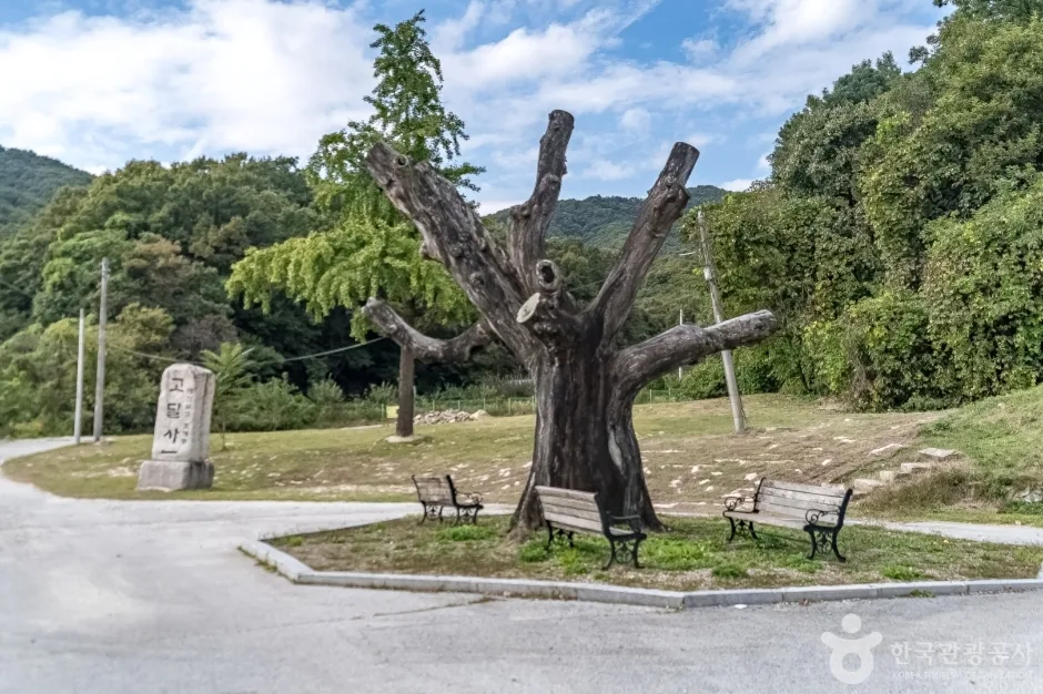 여주 고달사지 (2)