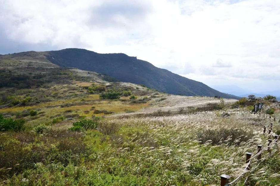 양산_천성산 (4)