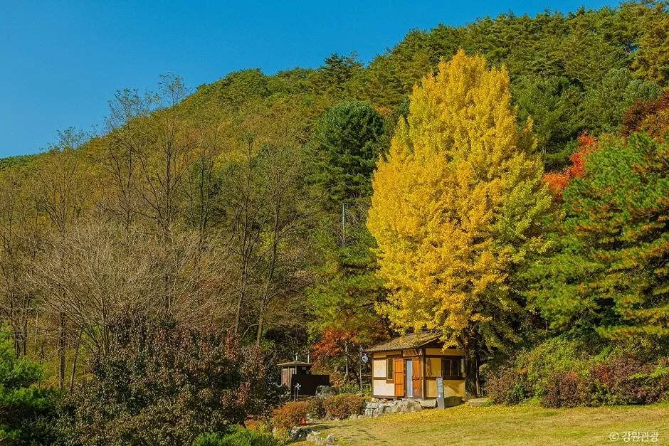난고 김삿갓 문학관