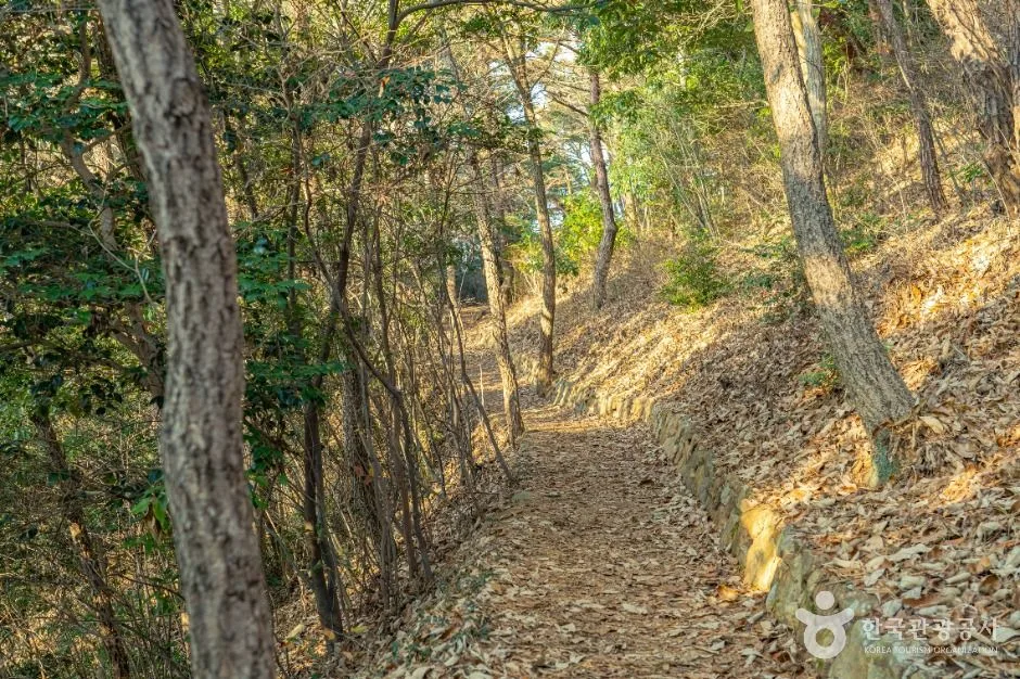 해남_달마고도 (3)