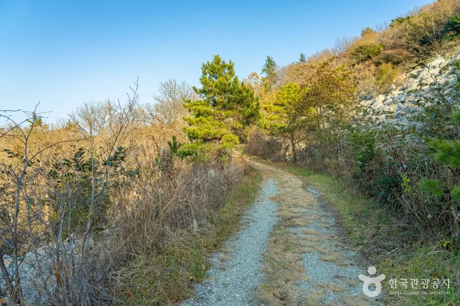 해남_달마고도 (10)