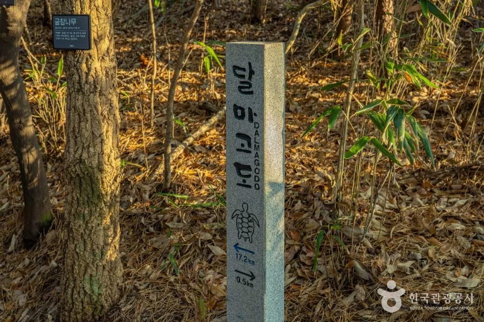 해남_달마고도 (4)