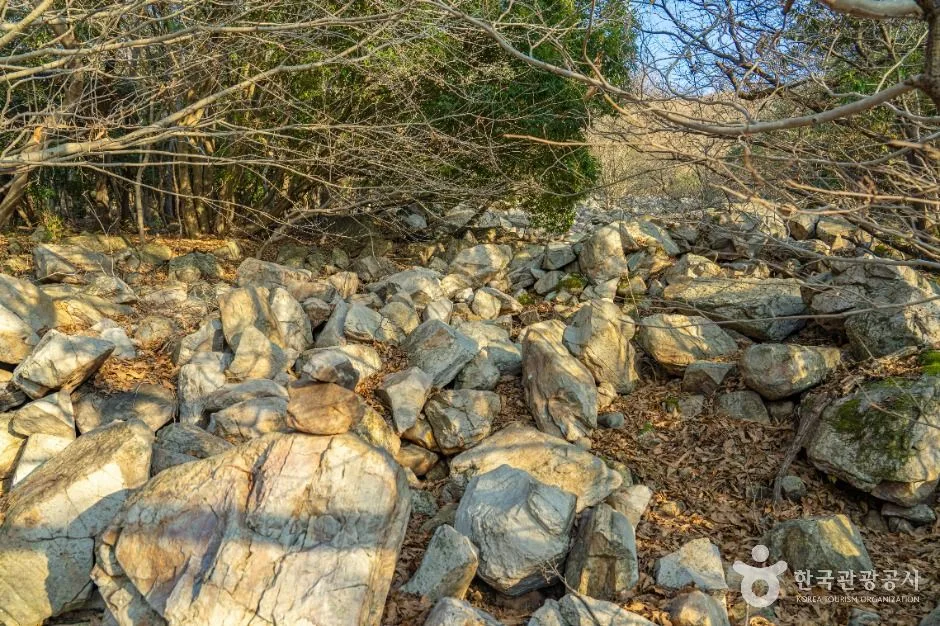 해남_달마고도 (6)
