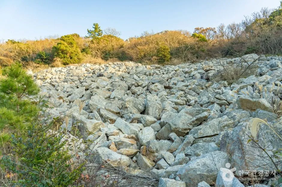 해남_달마고도 (9)
