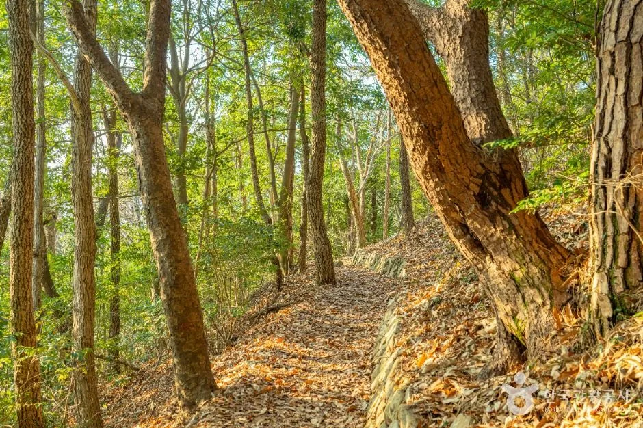 해남_달마고도 (2)