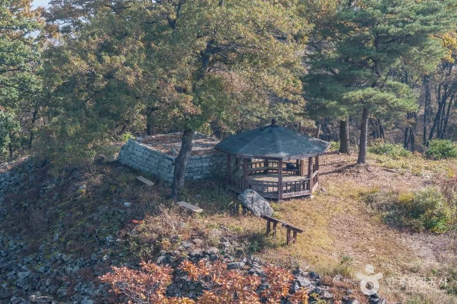 금이성