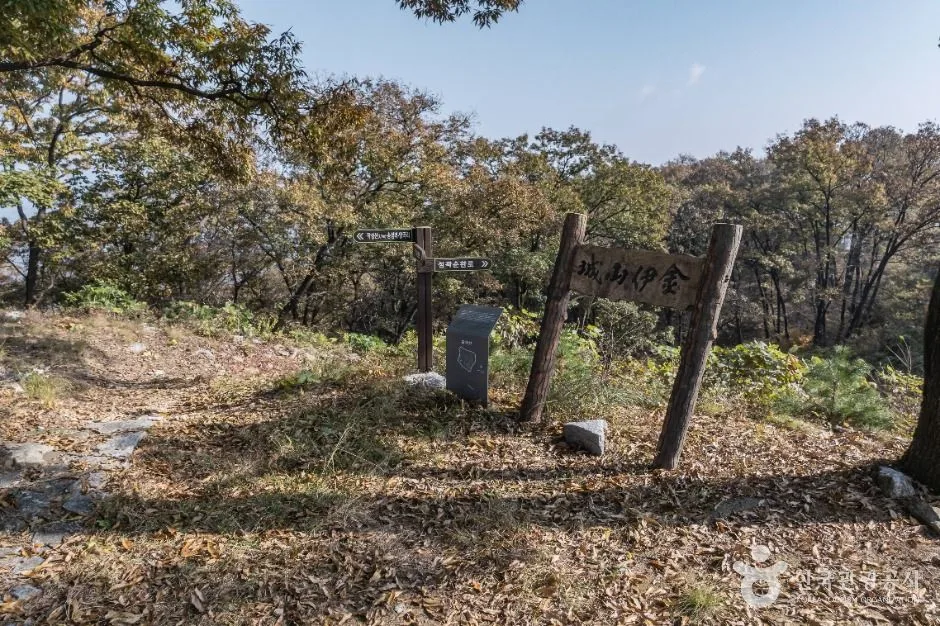 세종_금이성 (1)