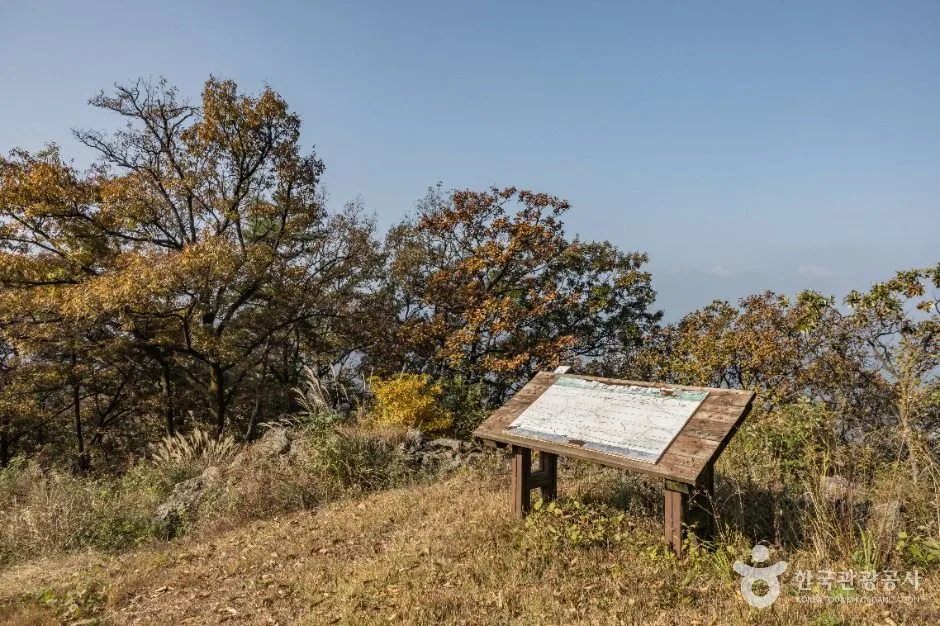 금이성 (5)_e