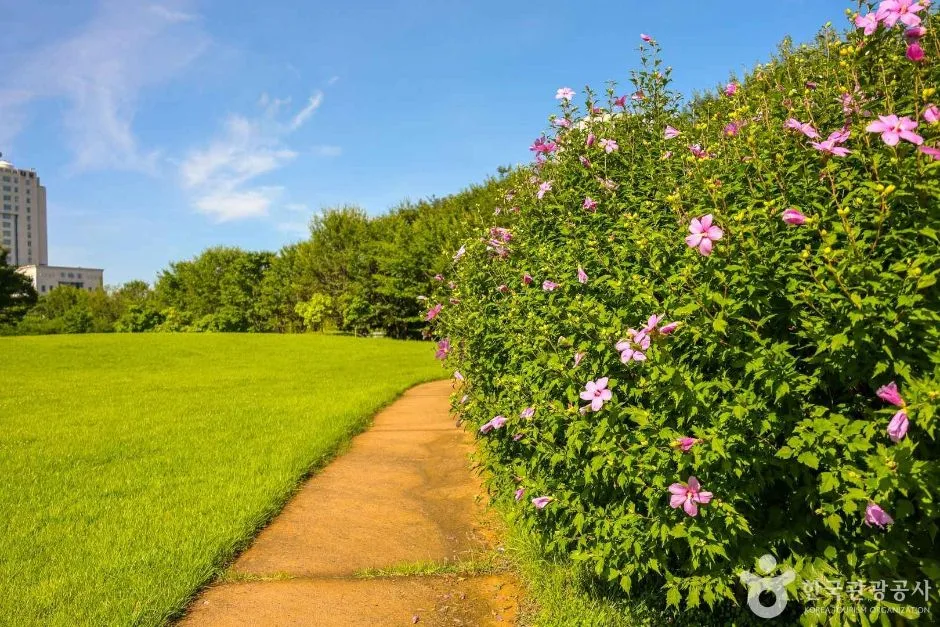 대전_서구_들의공원 (5)