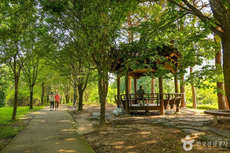 대전_서구_들의공원 (7)