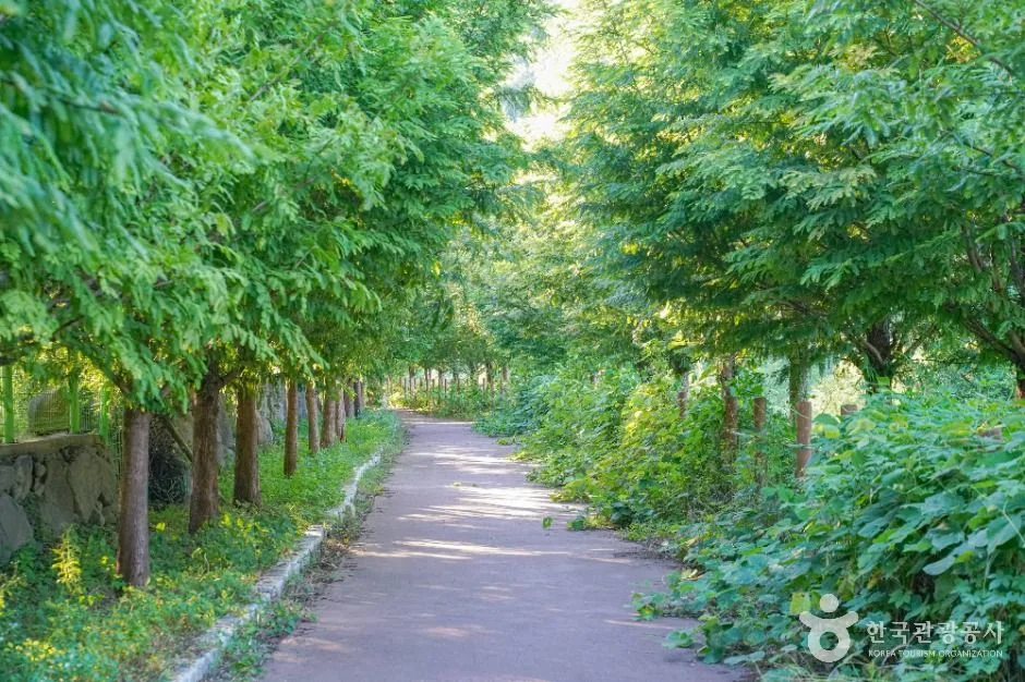 김해_진례저수지(진례 평지못 저수지) (5)