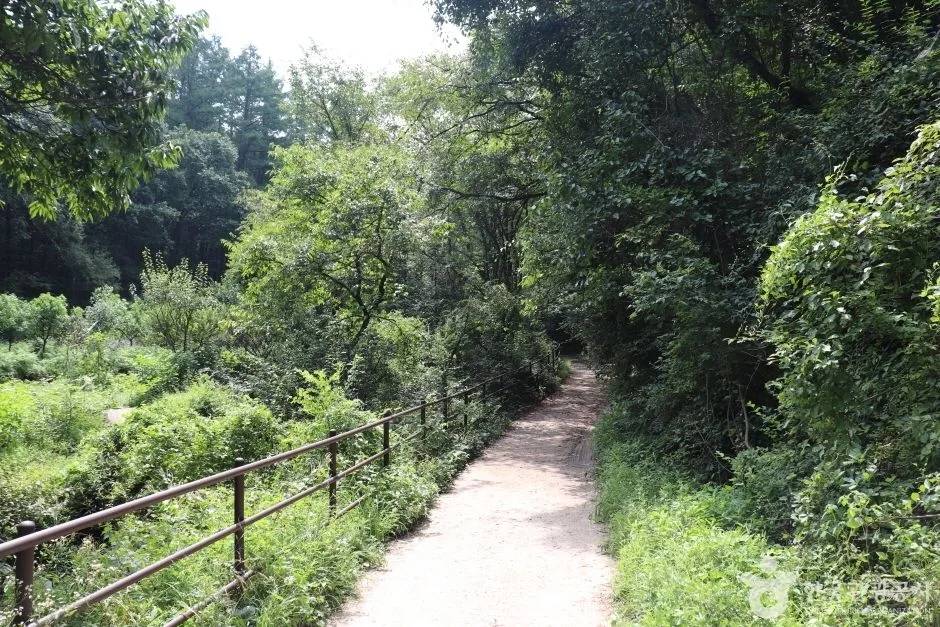 포암산(충주) (6)_e