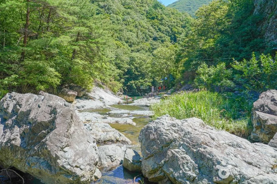 양산_배내골 (5)