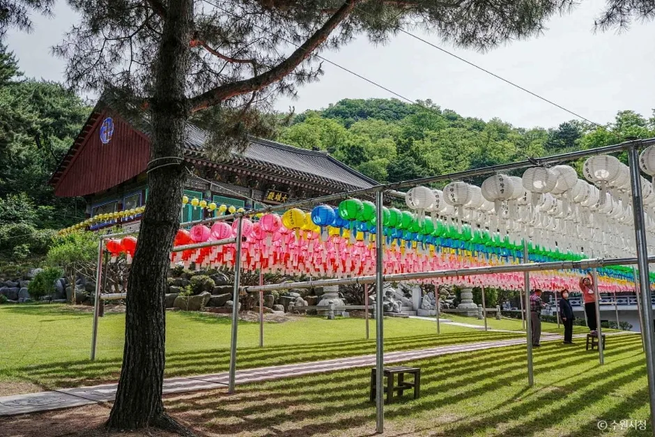 반야사 (1)