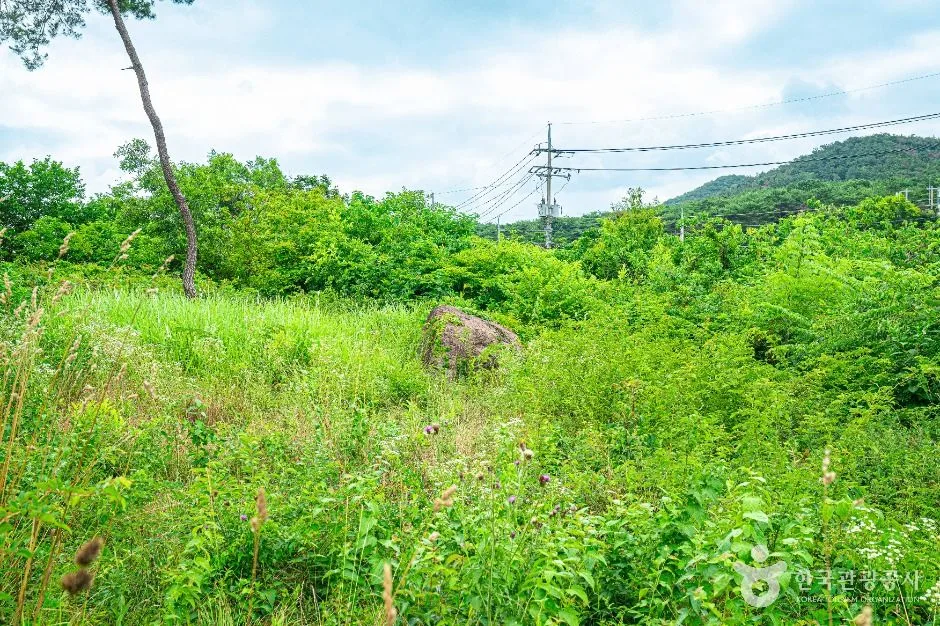 삼거동 고인돌