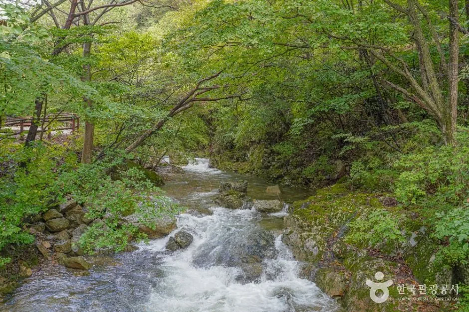 진안_국립 운장산자연휴양림 (2)