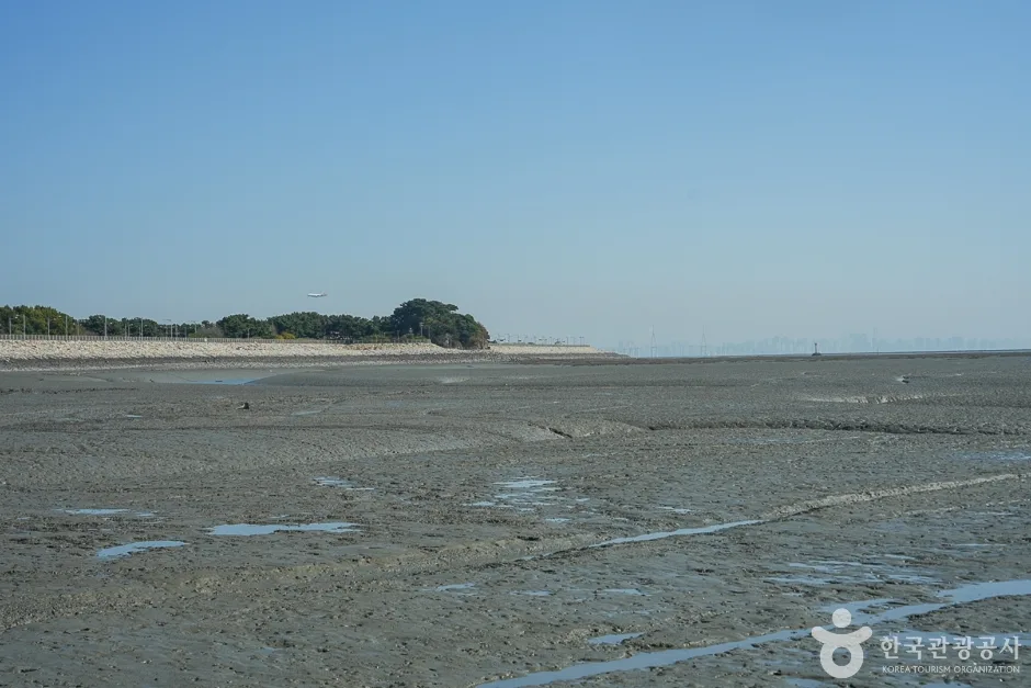 A04403_인천_중구_거잠포해변(3)