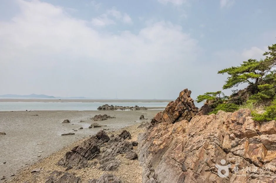 강화_장구너머항 (11)
