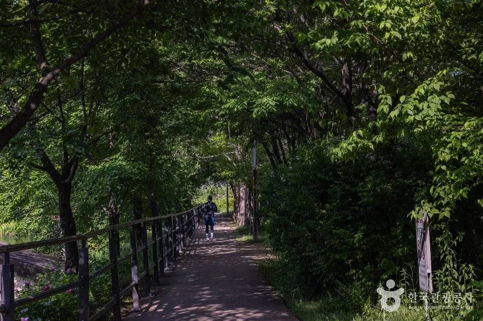 청주_송대공원 (8)