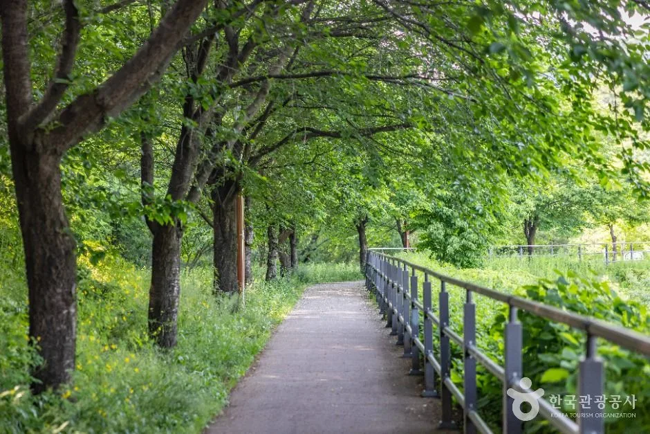 청주_송대공원 (11)