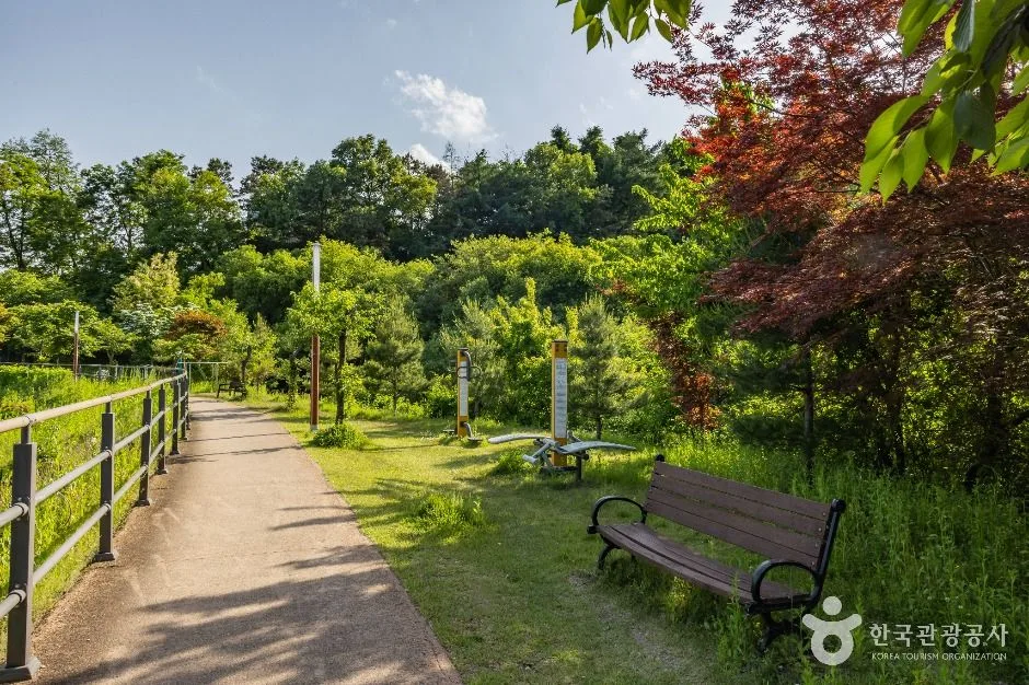 청주_송대공원 (5)