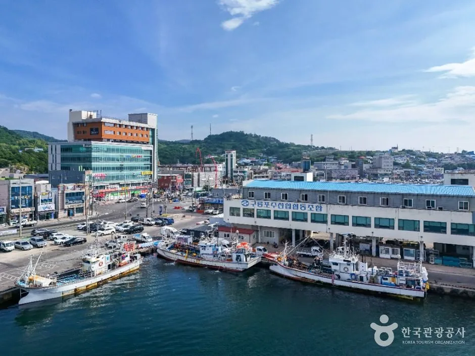 포항_구룡포항 (5)