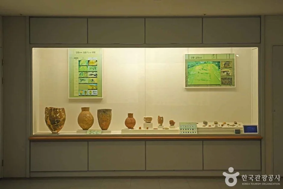 강릉원주대학교 박물관 (5)