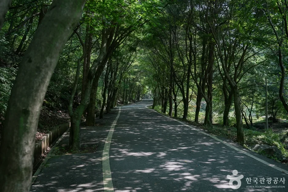 마니산국민관광지(10)