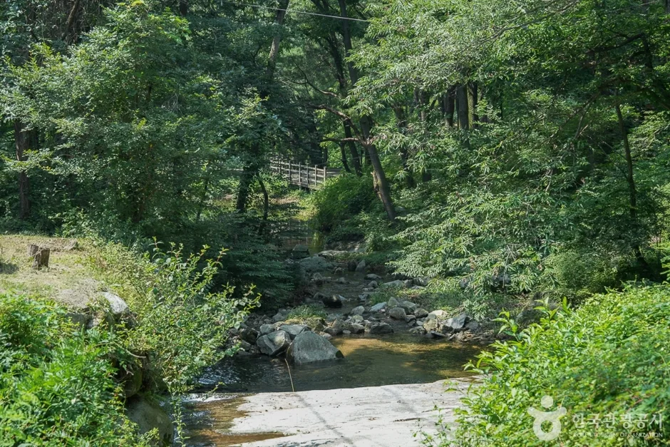 마니산국민관광지(5)