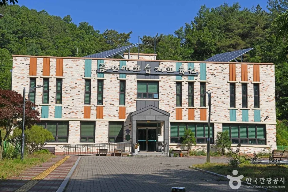 닥실마을 (2)