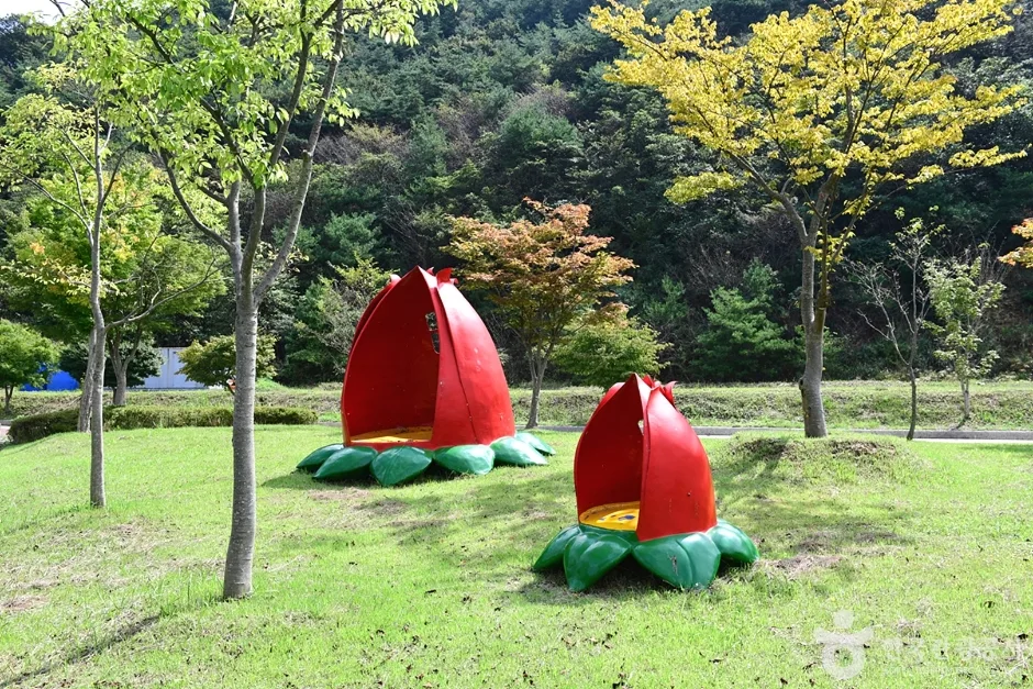 불갑저수지 수변공원 (11)