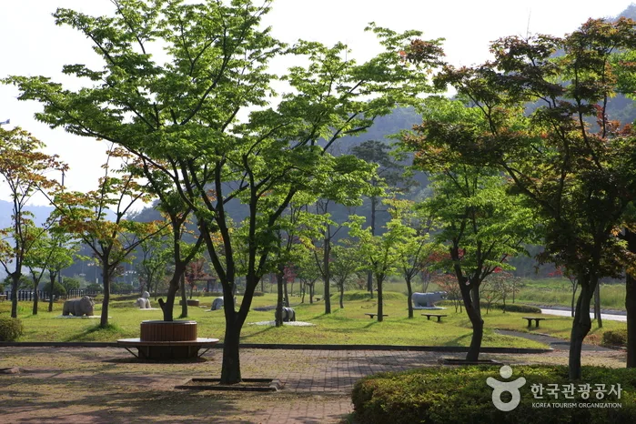 불갑저수지 수변공원 (9)